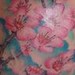 Tattoos - Cherry Blossom Tattoo - 35956